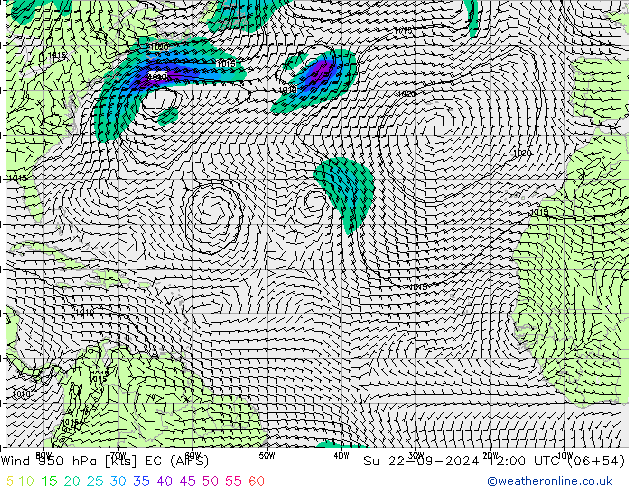ветер 950 гПа EC (AIFS) Вс 22.09.2024 12 UTC