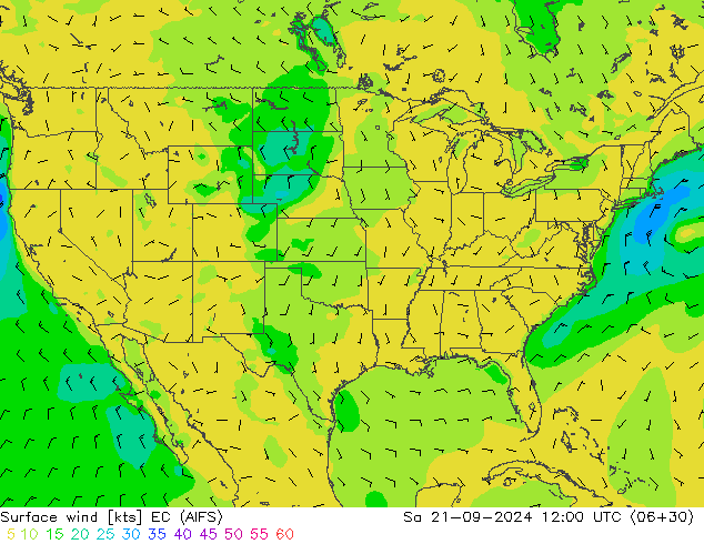 Surface wind EC (AIFS) Sa 21.09.2024 12 UTC