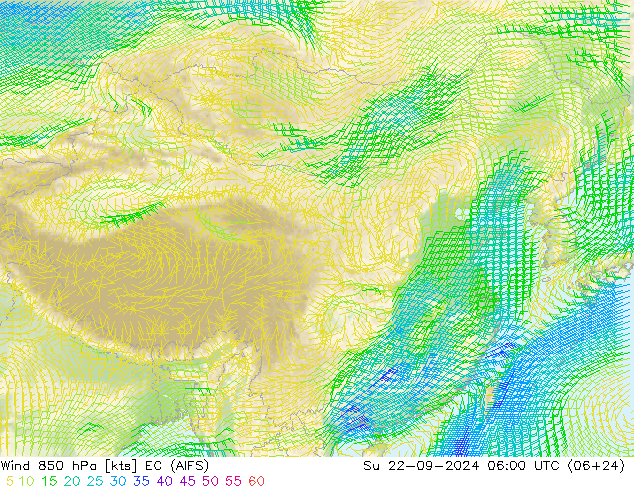 风 850 hPa EC (AIFS) 星期日 22.09.2024 06 UTC