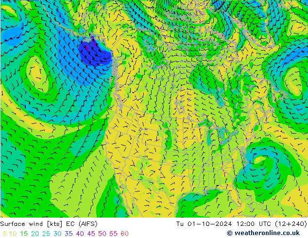 Bodenwind EC (AIFS) Di 01.10.2024 12 UTC