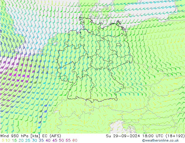 ветер 950 гПа EC (AIFS) Вс 29.09.2024 18 UTC