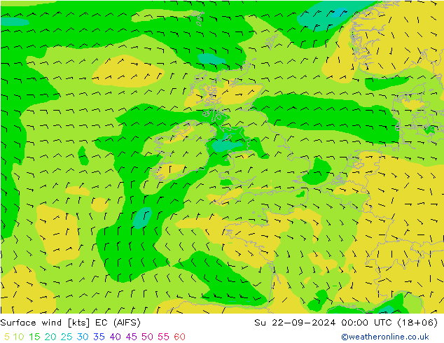 Surface wind EC (AIFS) Su 22.09.2024 00 UTC