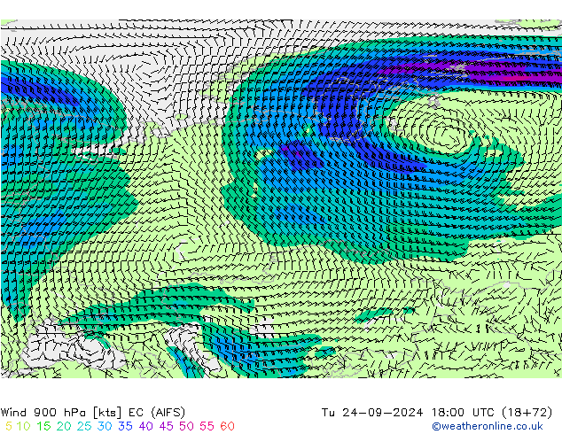 ветер 900 гПа EC (AIFS) вт 24.09.2024 18 UTC