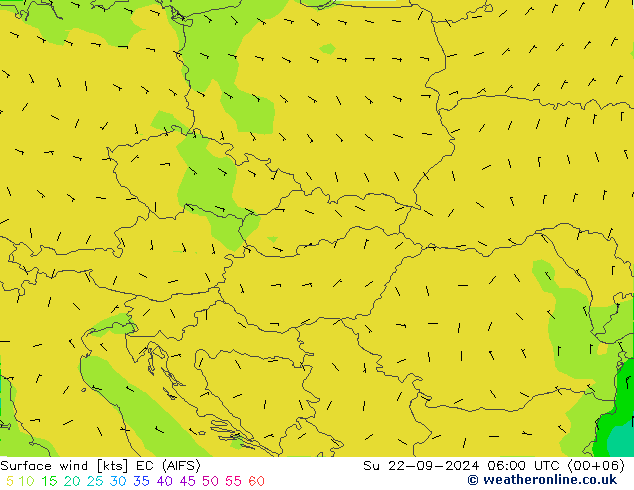 Bodenwind EC (AIFS) So 22.09.2024 06 UTC