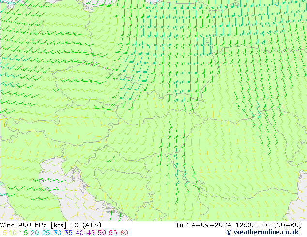 Rüzgar 900 hPa EC (AIFS) Sa 24.09.2024 12 UTC