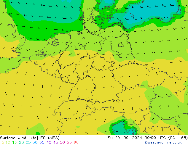 Bodenwind EC (AIFS) So 29.09.2024 00 UTC