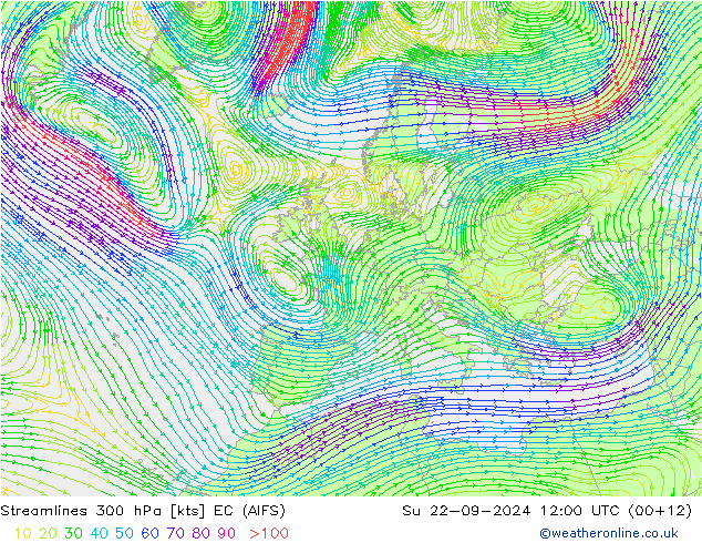 Stromlinien 300 hPa EC (AIFS) So 22.09.2024 12 UTC