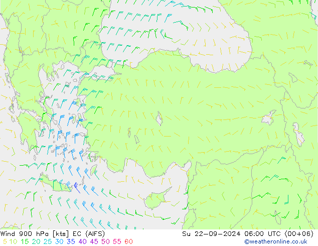 Wind 900 hPa EC (AIFS) Su 22.09.2024 06 UTC