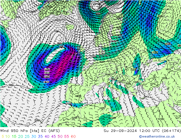 ветер 950 гПа EC (AIFS) Вс 29.09.2024 12 UTC