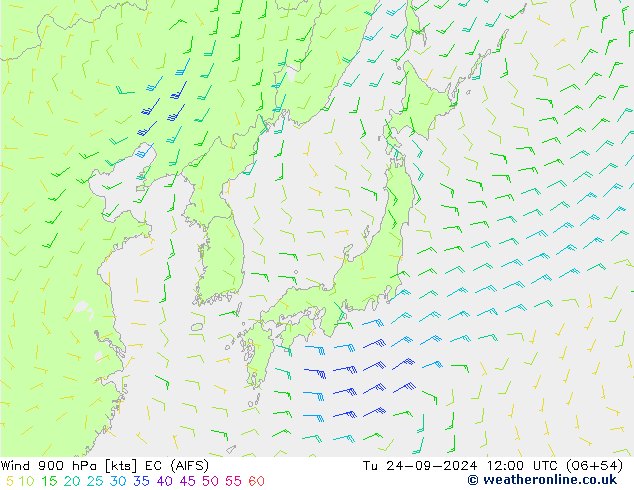 wiatr 900 hPa EC (AIFS) wto. 24.09.2024 12 UTC