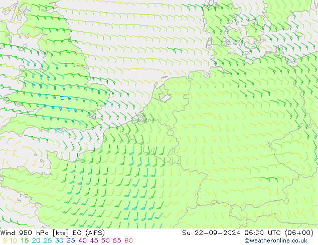 wiatr 950 hPa EC (AIFS) nie. 22.09.2024 06 UTC