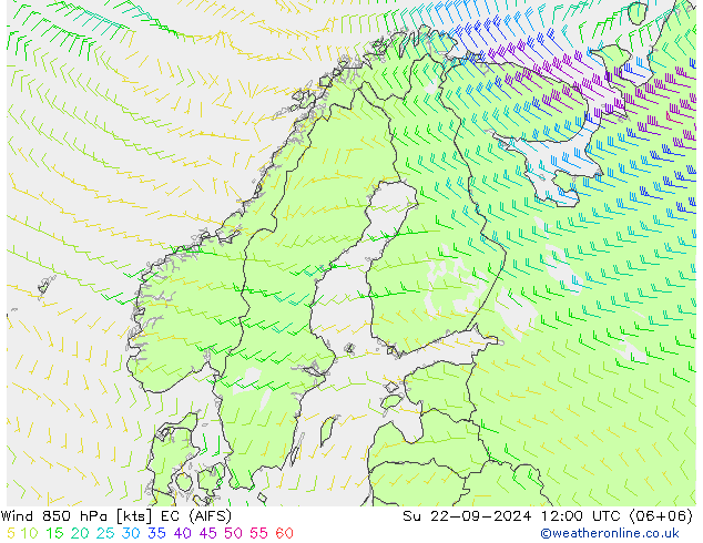 风 850 hPa EC (AIFS) 星期日 22.09.2024 12 UTC