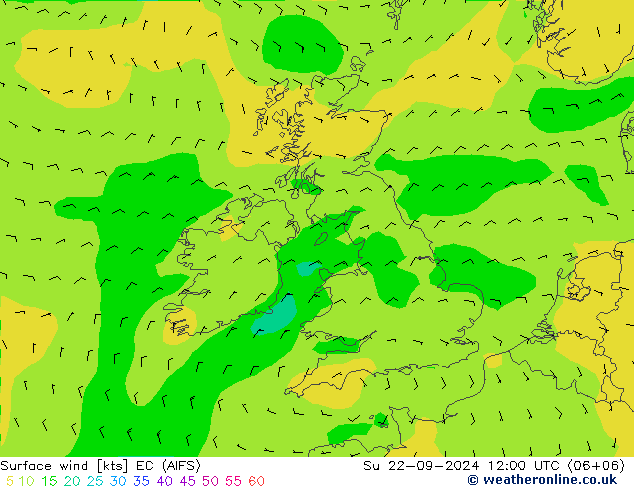 Wind 10 m EC (AIFS) zo 22.09.2024 12 UTC