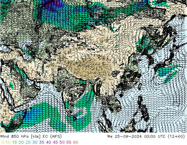  850 hPa EC (AIFS)  25.09.2024 00 UTC