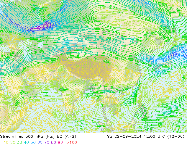 ветер 500 гПа EC (AIFS) Вс 22.09.2024 12 UTC