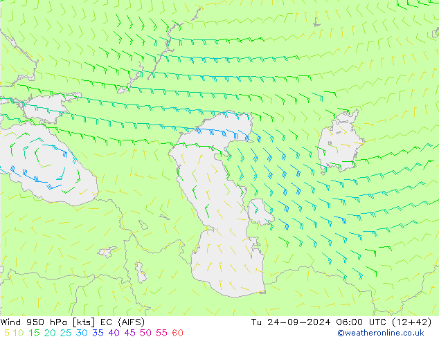 Wind 950 hPa EC (AIFS) di 24.09.2024 06 UTC