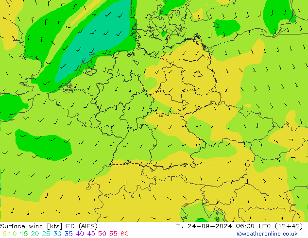 ветер 10 m EC (AIFS) вт 24.09.2024 06 UTC
