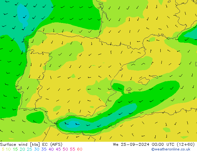 Viento 10 m EC (AIFS) mié 25.09.2024 00 UTC