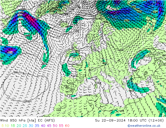 Wind 950 hPa EC (AIFS) So 22.09.2024 18 UTC