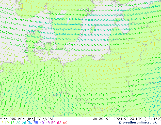  900 hPa EC (AIFS)  30.09.2024 00 UTC