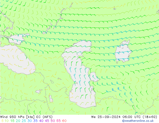 Rüzgar 950 hPa EC (AIFS) Çar 25.09.2024 06 UTC