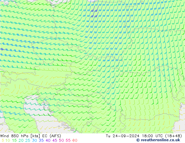 wiatr 850 hPa EC (AIFS) wto. 24.09.2024 18 UTC