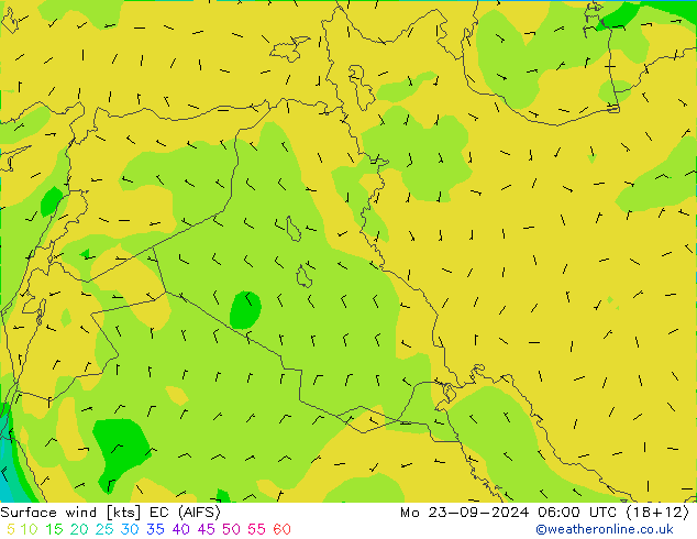 Surface wind EC (AIFS) Mo 23.09.2024 06 UTC