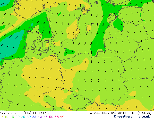 Surface wind EC (AIFS) Tu 24.09.2024 06 UTC