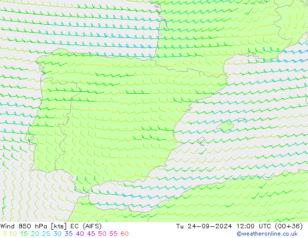 Vento 850 hPa EC (AIFS) Ter 24.09.2024 12 UTC