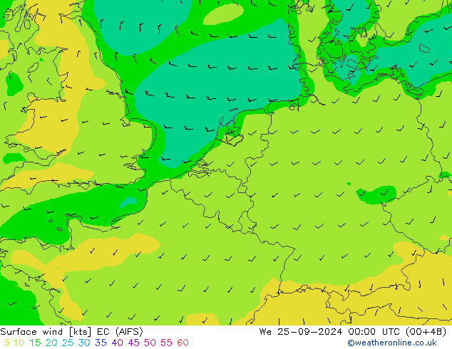 Surface wind EC (AIFS) We 25.09.2024 00 UTC