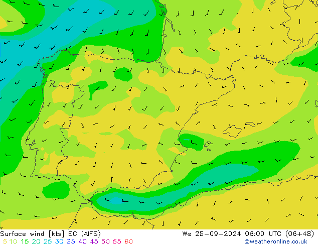 Surface wind EC (AIFS) We 25.09.2024 06 UTC