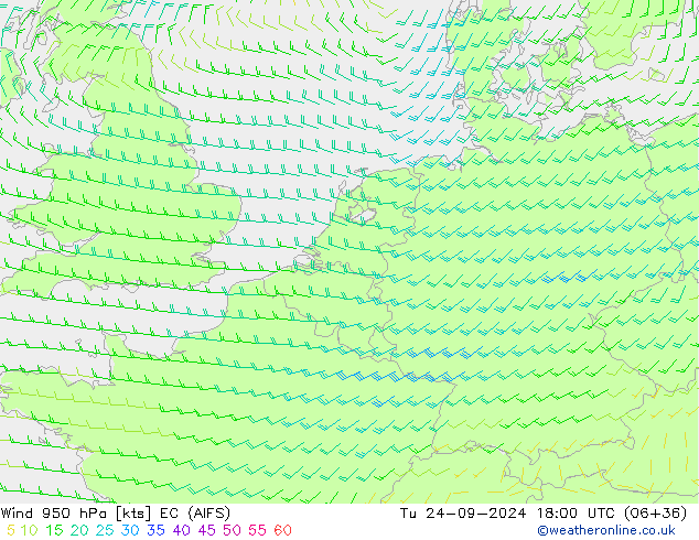 Wind 950 hPa EC (AIFS) Tu 24.09.2024 18 UTC