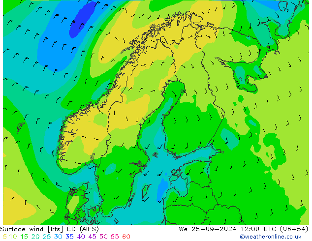 Wind 10 m EC (AIFS) wo 25.09.2024 12 UTC