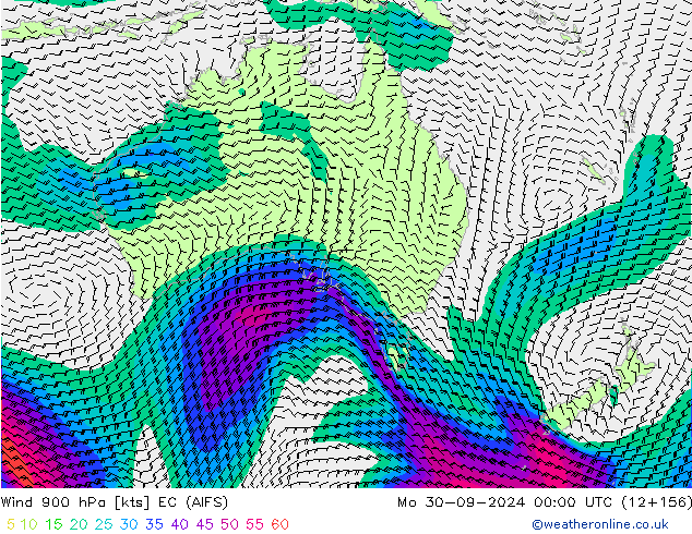  900 hPa EC (AIFS)  30.09.2024 00 UTC