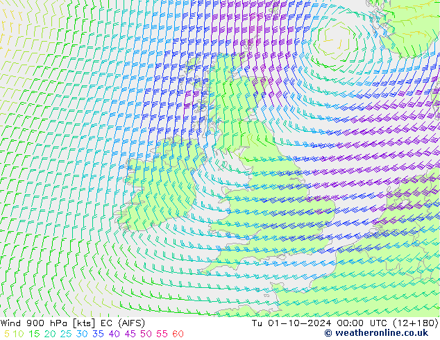  900 hPa EC (AIFS)  01.10.2024 00 UTC