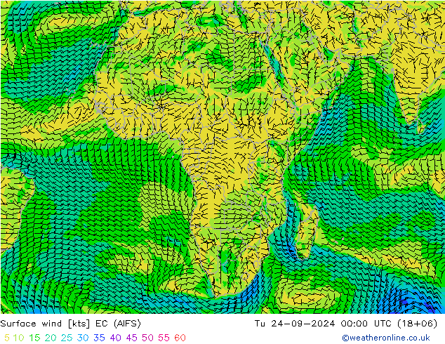 Surface wind EC (AIFS) Tu 24.09.2024 00 UTC