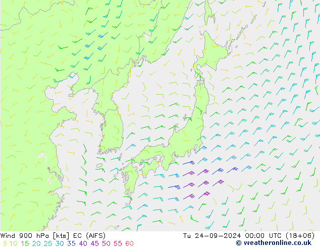 wiatr 900 hPa EC (AIFS) wto. 24.09.2024 00 UTC