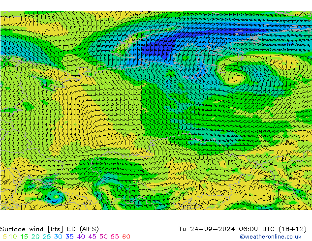 ветер 10 m EC (AIFS) вт 24.09.2024 06 UTC