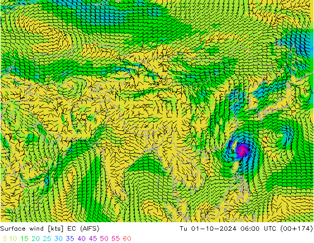  10 m EC (AIFS)  01.10.2024 06 UTC
