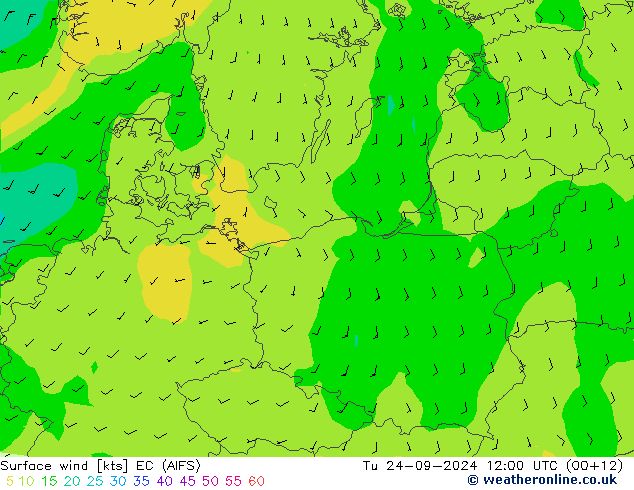 Vent 10 m EC (AIFS) mar 24.09.2024 12 UTC