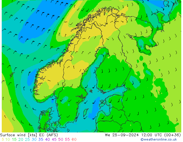 Surface wind EC (AIFS) We 25.09.2024 12 UTC