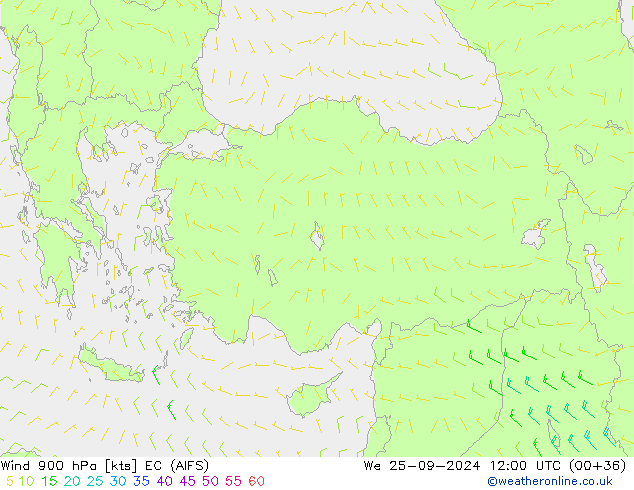 ветер 900 гПа EC (AIFS) ср 25.09.2024 12 UTC