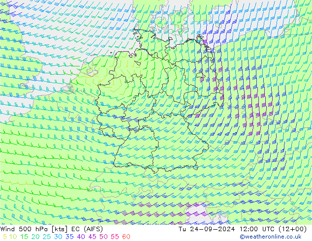 Vento 500 hPa EC (AIFS) Ter 24.09.2024 12 UTC