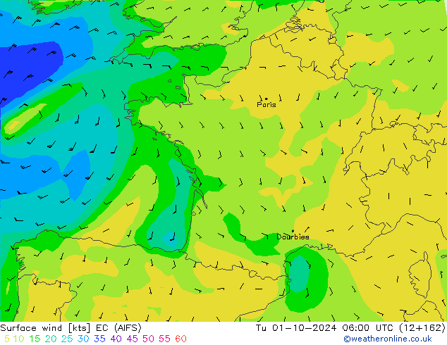 ветер 10 m EC (AIFS) вт 01.10.2024 06 UTC