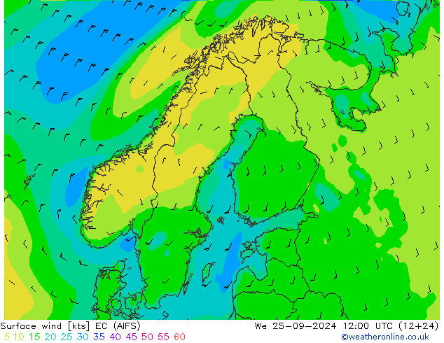 Surface wind EC (AIFS) We 25.09.2024 12 UTC