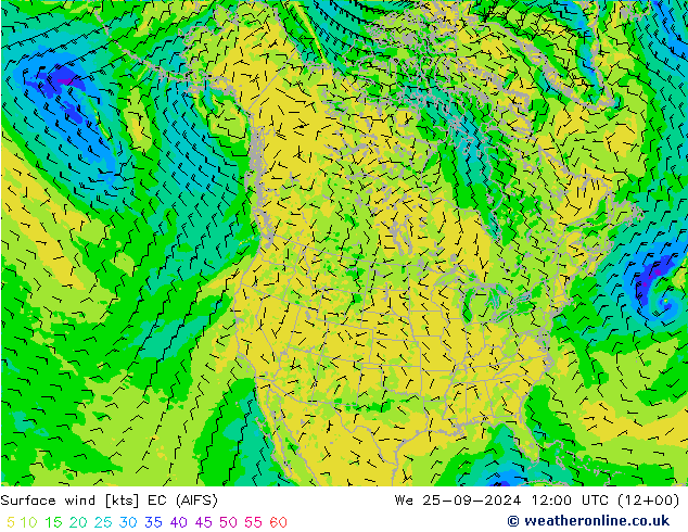 Surface wind EC (AIFS) We 25.09.2024 12 UTC