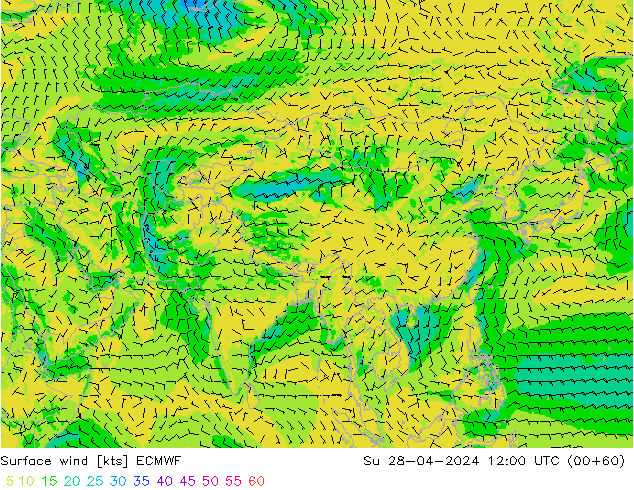 Surface wind ECMWF Su 28.04.2024 12 UTC