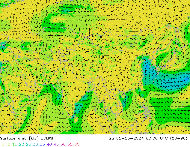 Wind 10 m ECMWF zo 05.05.2024 00 UTC