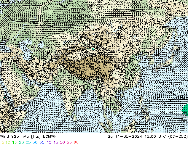 Viento 925 hPa ECMWF sáb 11.05.2024 12 UTC