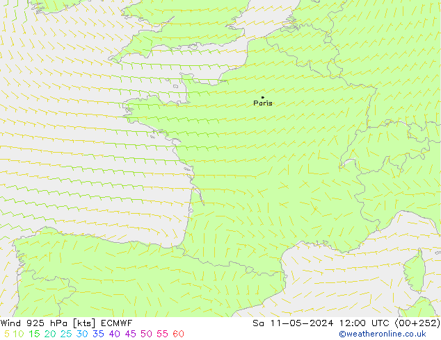  925 hPa ECMWF  11.05.2024 12 UTC